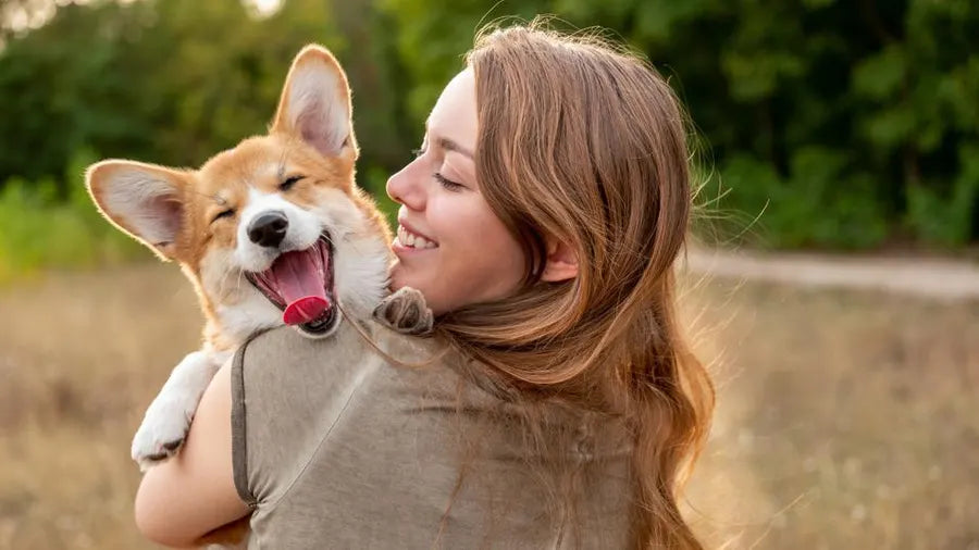 Pet Owners Are Making This Expensive Cleaning Mistake Every Day